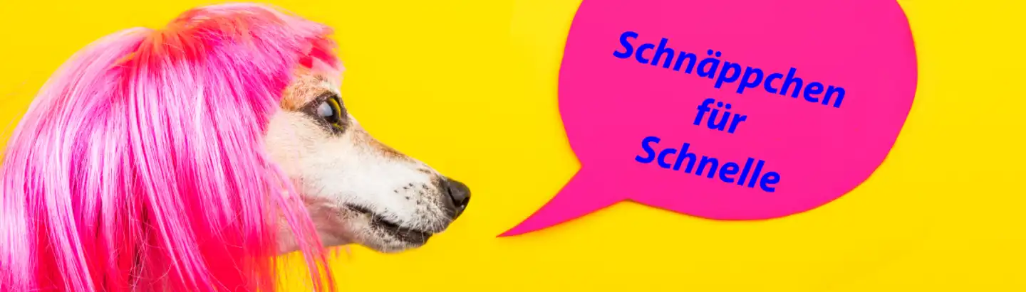 Schnäppchen