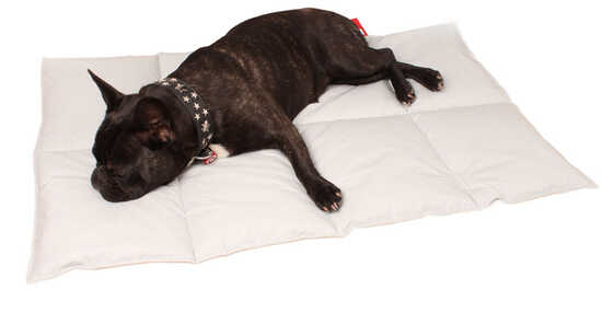 Camp 1 Outdoormatte Rock�n�Roll Dogs Rock�n�Roll Dogs