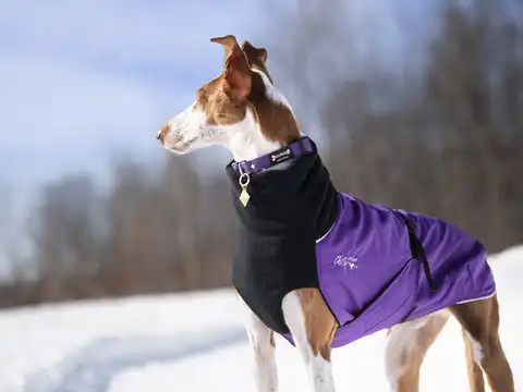 Chilly Dog Ragg Wollschal Für Hunde Größe M – Handgestrickt, Aus Bio-Wolle, Für 8,2–12,7 Kg